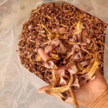 松树菌特级烤干条，块，串