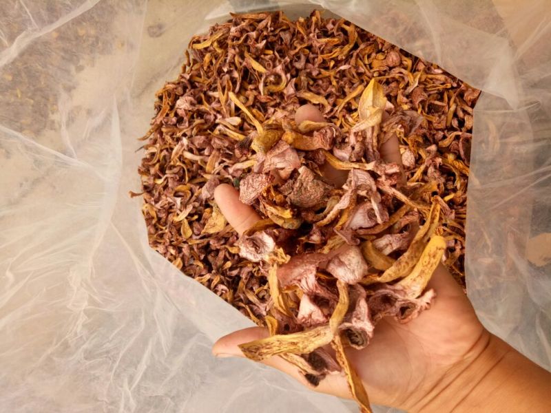 松树菌特级烤干条，块，串