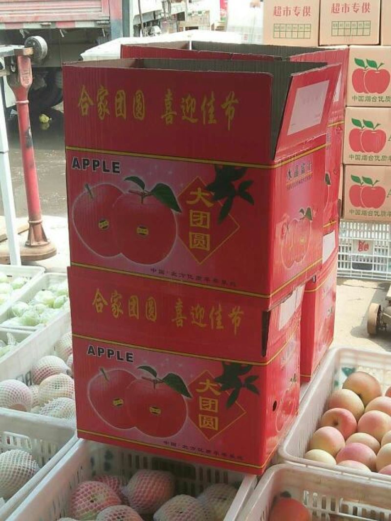 红将军苹果口感好个头均匀产地大量供应货源充足稳定