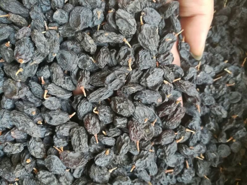 黑加仑葡萄干无核一级