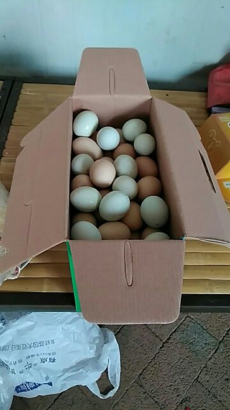 土鸡蛋50~60g食用
