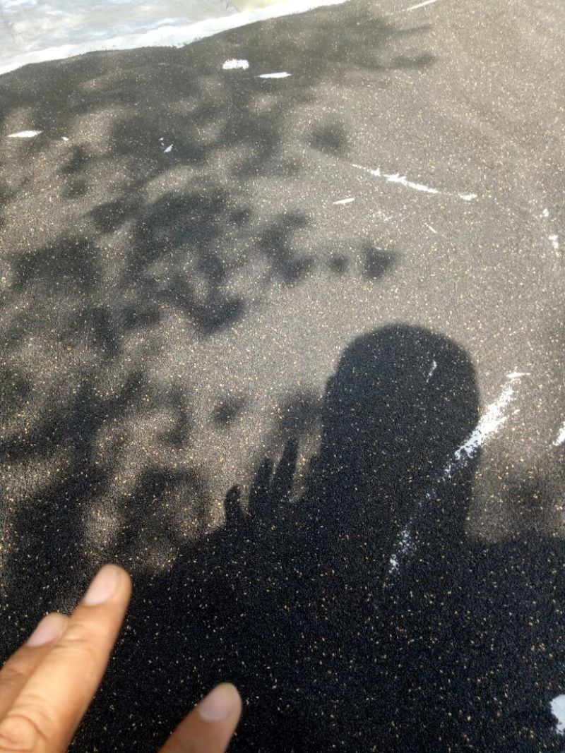 黑芝麻17新熟熟黑芝麻