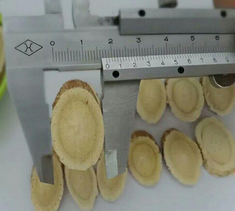 岷县黄芪切片0.8cm批发