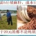 麻油