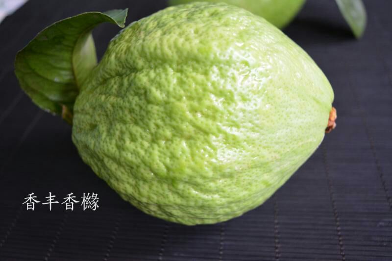 香橼果子云南特产水果现摘发货新鲜香园快递包邮