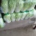 黄心白菜4~6斤净菜