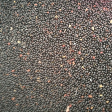 花椒籽包装