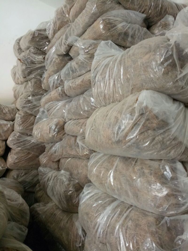 细辛根东北干货量大优惠2斤起包邮