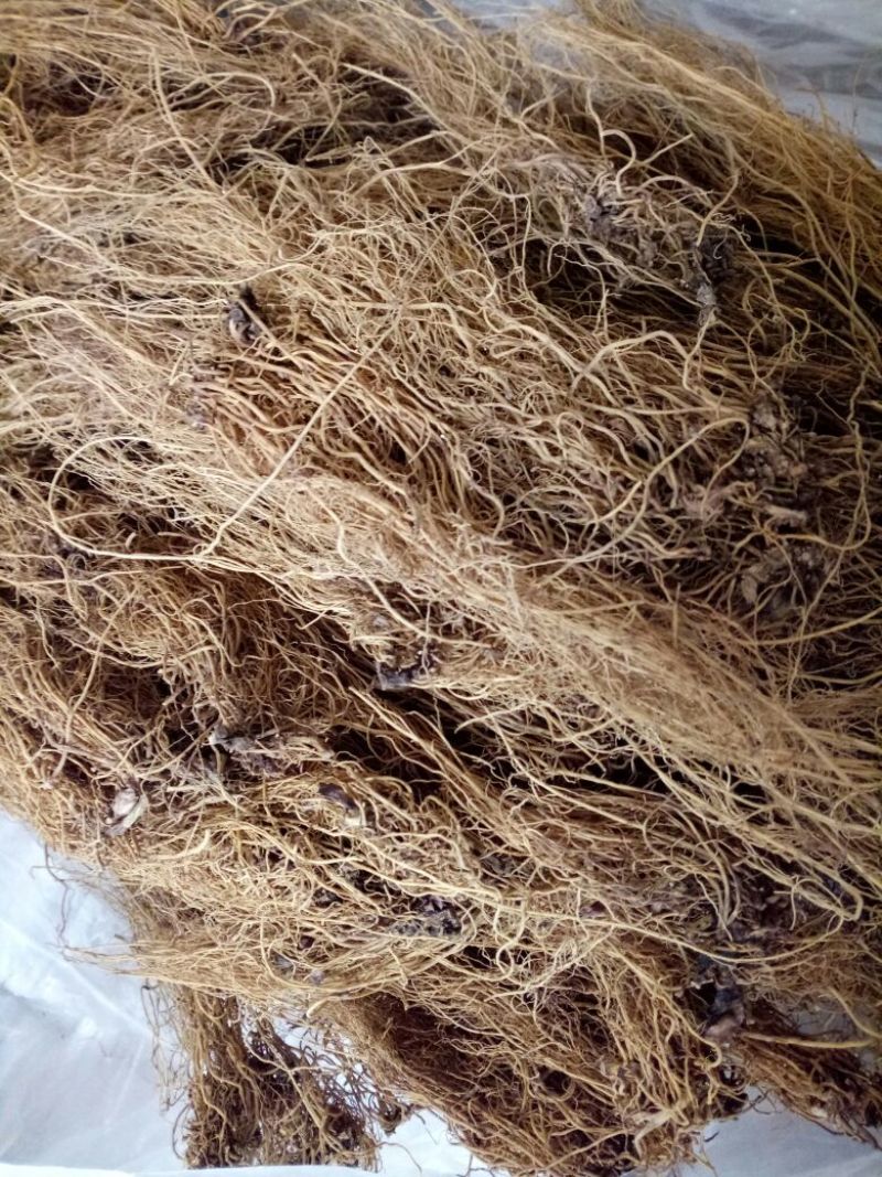 细辛根东北干货量大优惠2斤起包邮