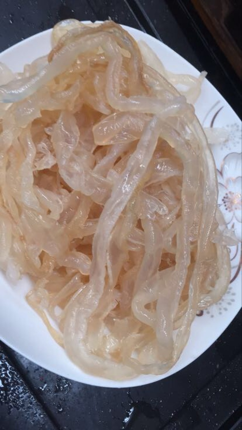 海蜇食用鲜活