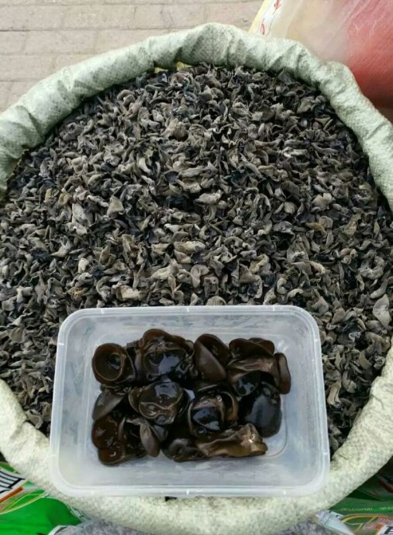 黑木耳一级