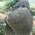 毛石