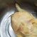 野生甲鱼1.5~2斤