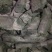 果木碳95%以上烧烤炭
