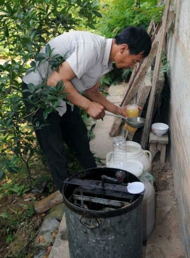 土蜂蜜
