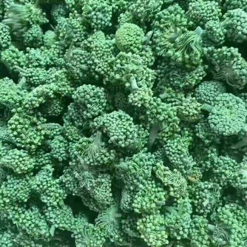 三七花带柄