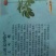 三七花带柄