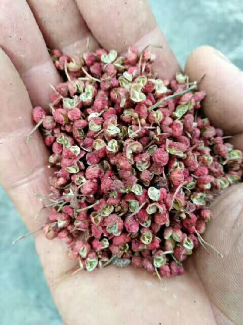 陕西富平农家天然晾晒大红袍新花椒一级大红袍荠椒，