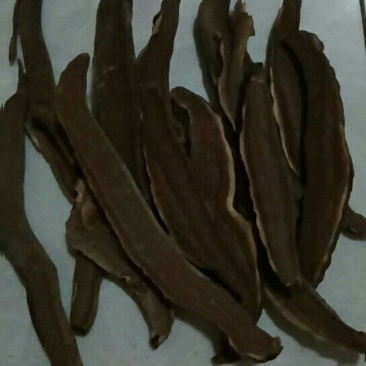 药用菊花散装