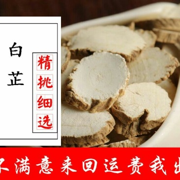 亳州白芷袋装