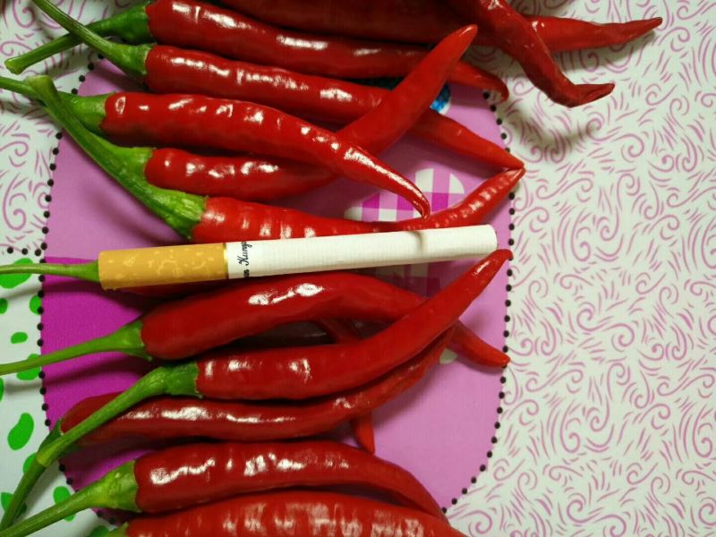 线椒15~20厘米中辣红