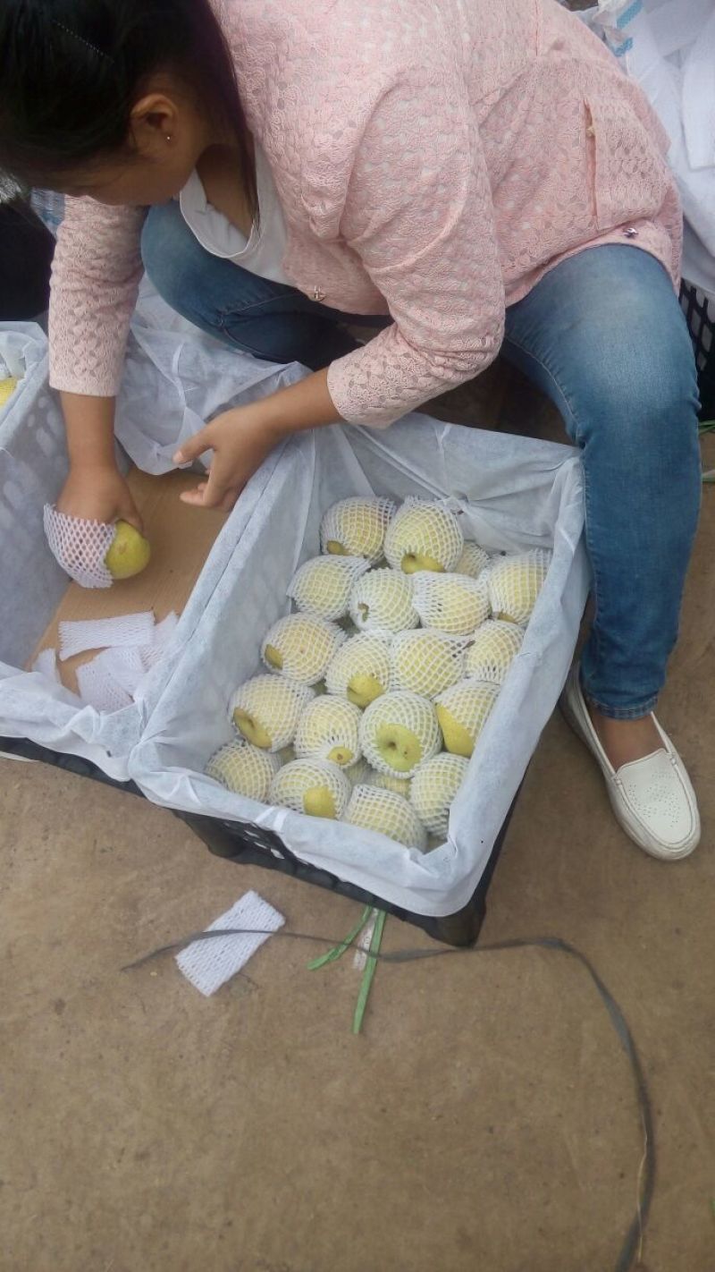 贡梨纸袋300~350g
