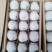 酥梨100~150g纸袋