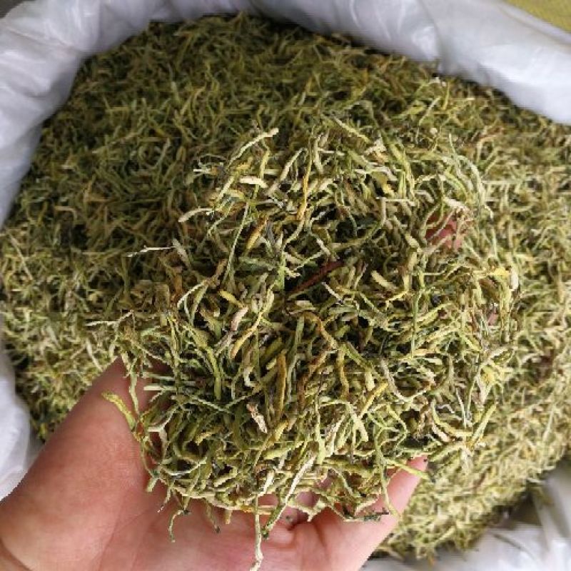 山银花中药材山银花批发一手货源