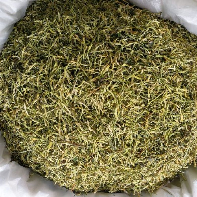 山银花中药材山银花批发一手货源