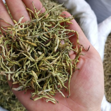 山银花中药材山银花批发一手货源
