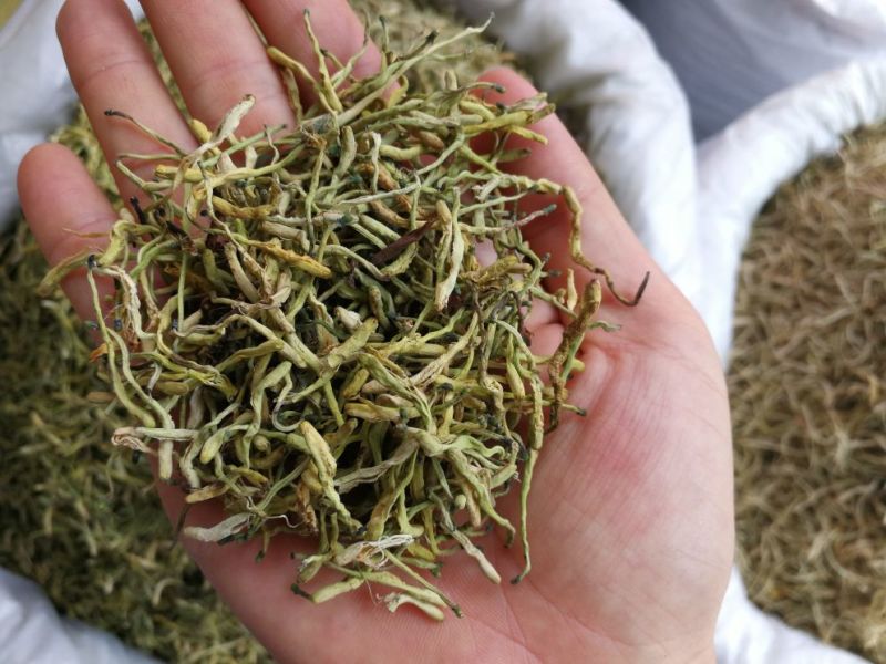 山银花中药材山银花批发一手货源