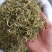 山银花中药材山银花批发一手货源
