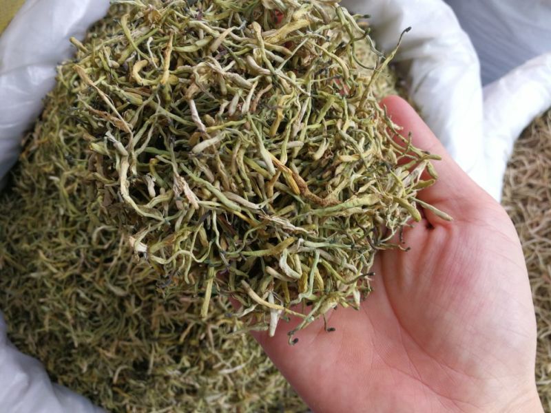 山银花中药材山银花批发一手货源