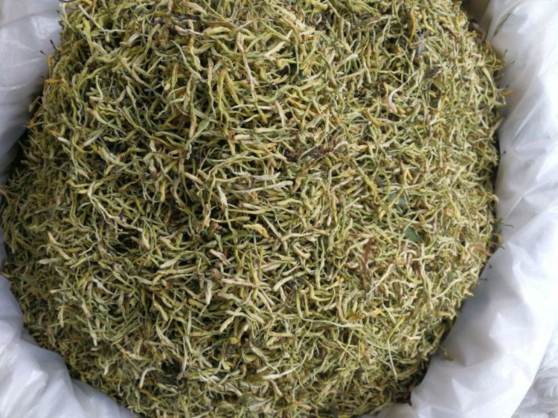 山银花中药材山银花批发一手货源