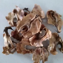 分心木特级、核桃仁中间的加皮