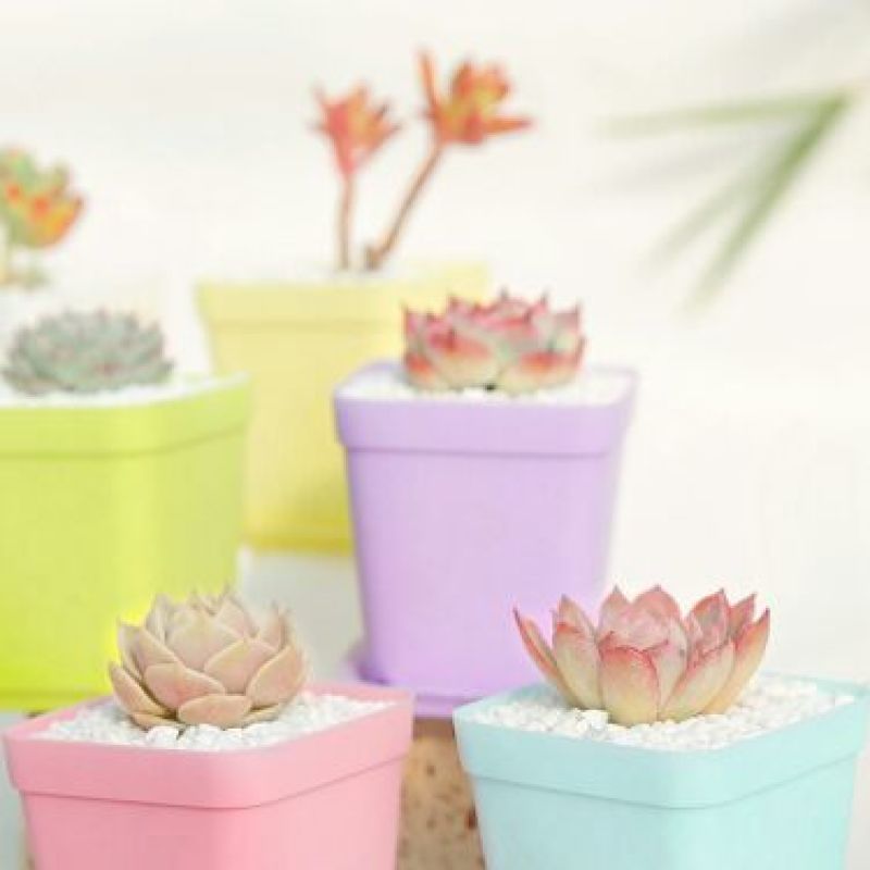 花盆塑料