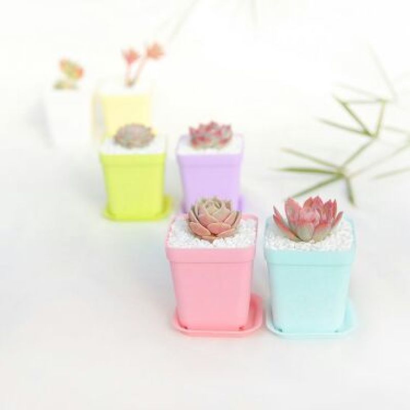 花盆塑料