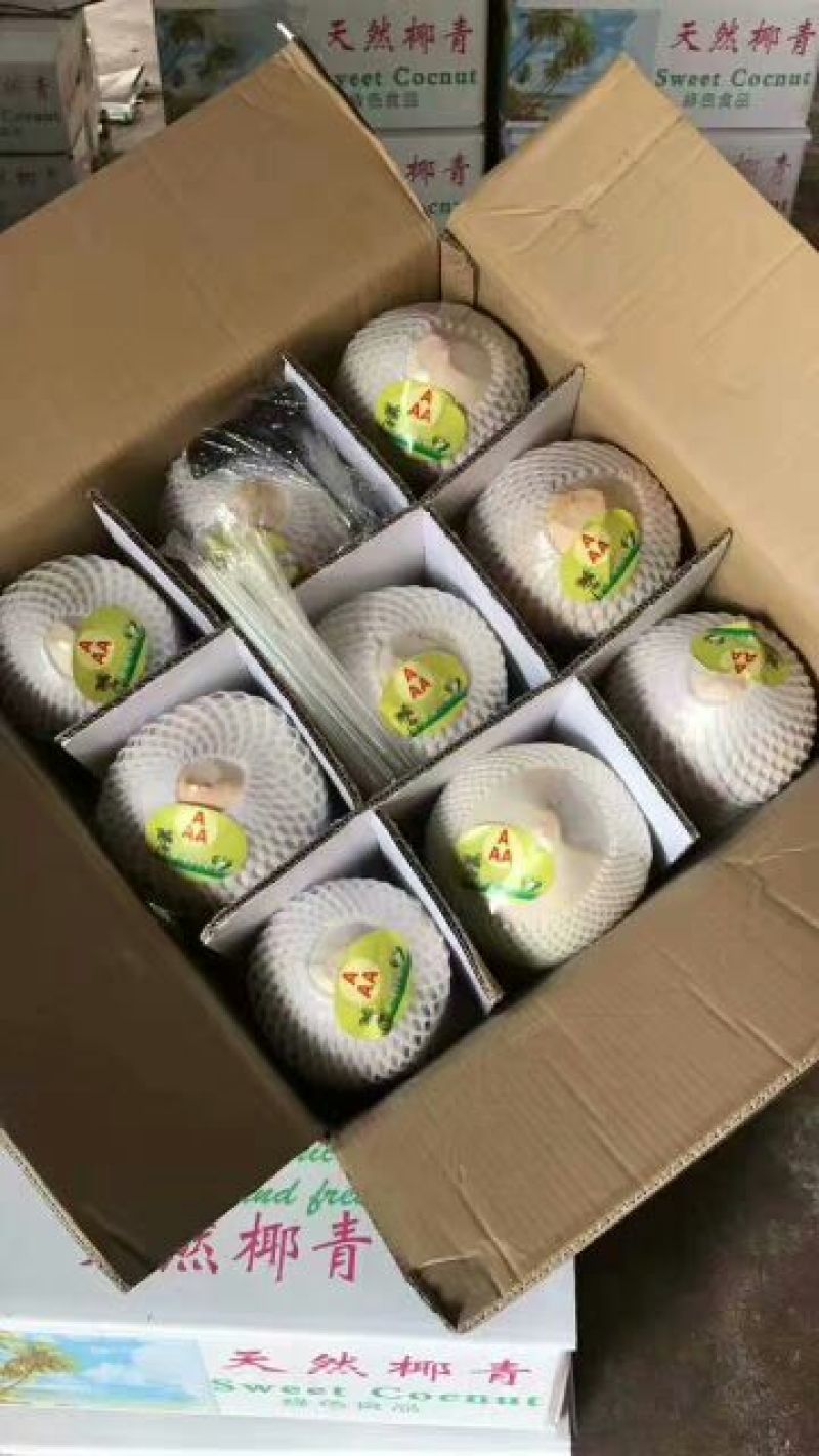 椰青2.5~3斤