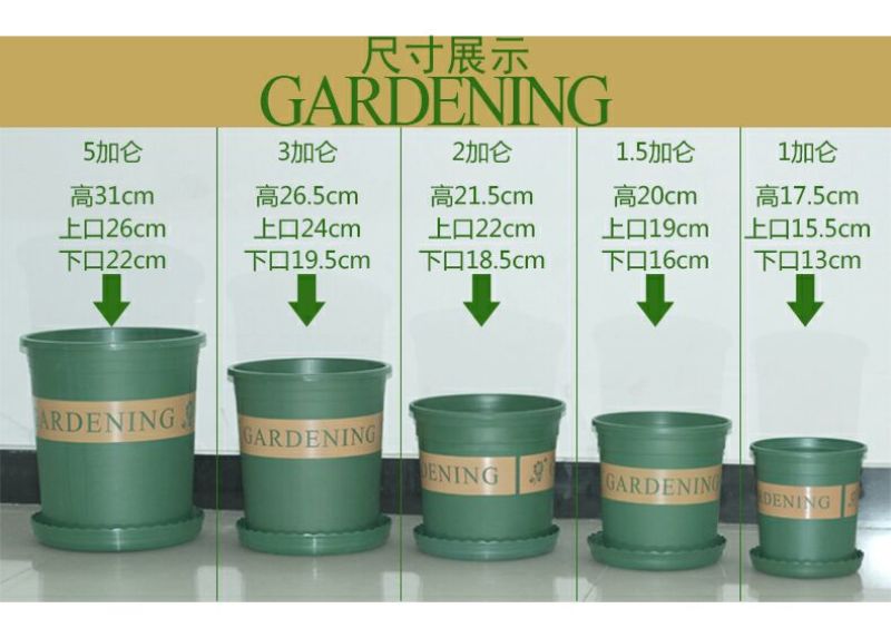 花盆树脂加仑花盆