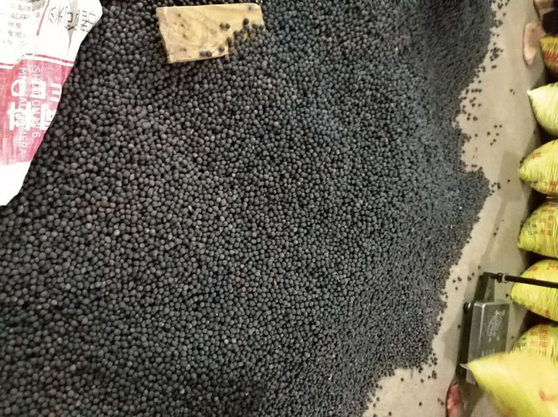 江西产地铁莲子带壳干莲子颗粒饱满品质好