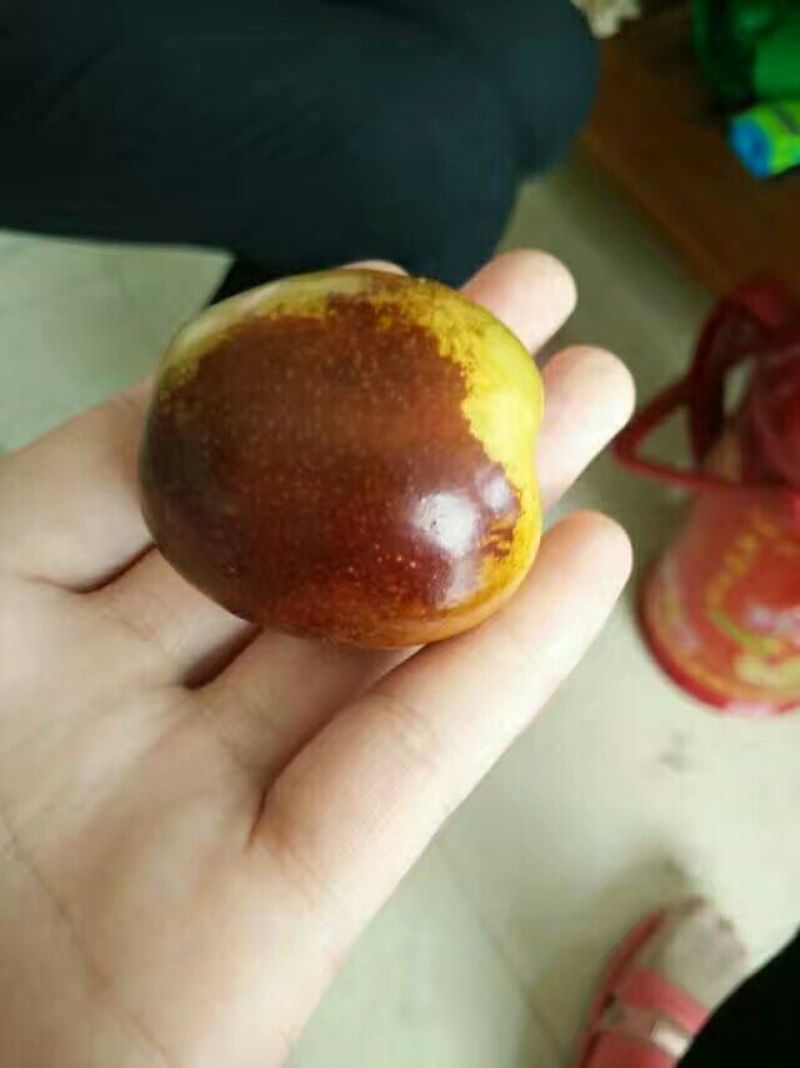 沾化冬枣电商，平台专业代发–预售中