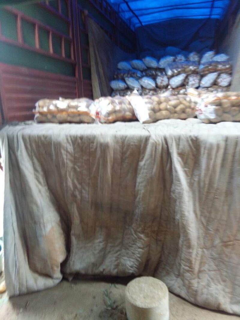 荷兰十五土豆2两以上