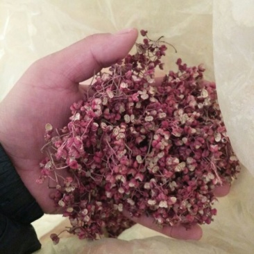 大红袍花椒一级干
