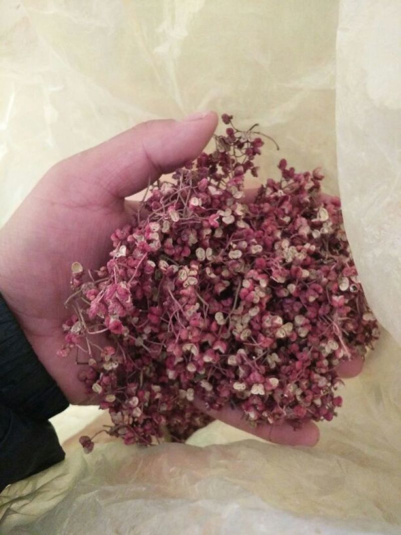 大红袍花椒一级干