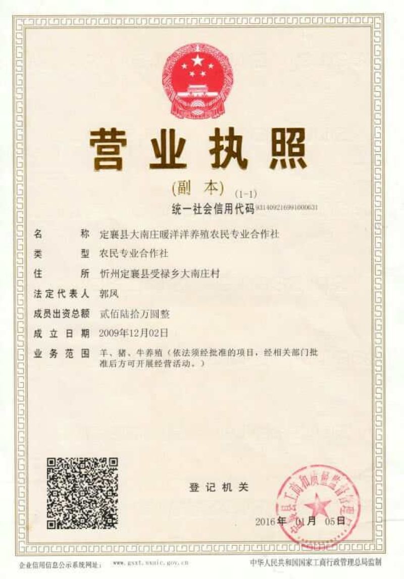 西门塔尔牛犊暖洋洋养殖专业合作社