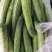旱黄瓜18~22公分高山精品，富硒绿色有机蔬菜