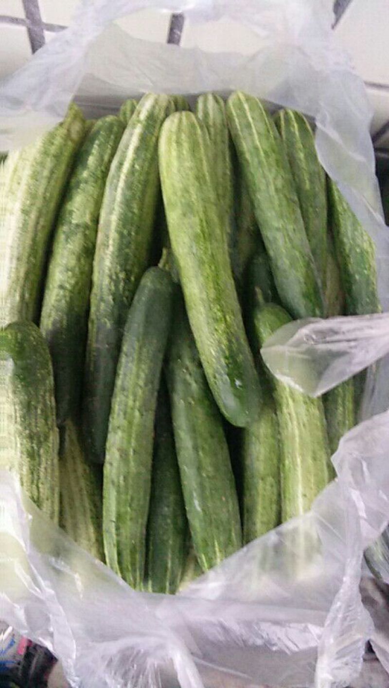 旱黄瓜18~22公分高山精品，富硒绿色有机蔬菜