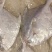 白鲳食用