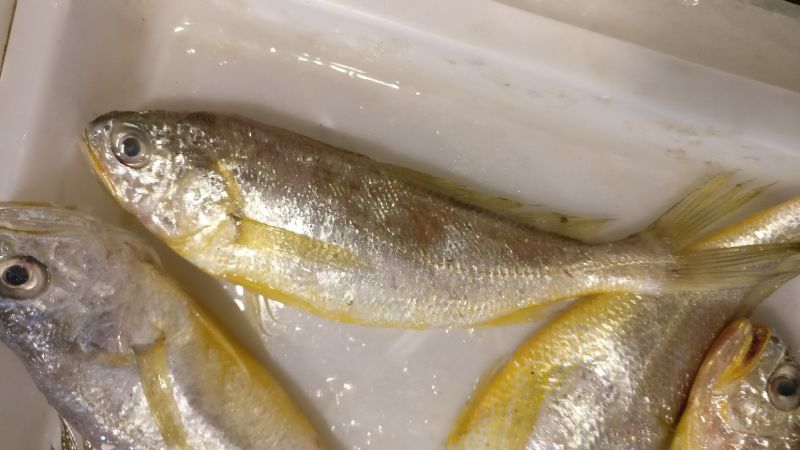小黄鱼食用