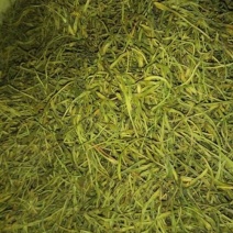 金银花色青花